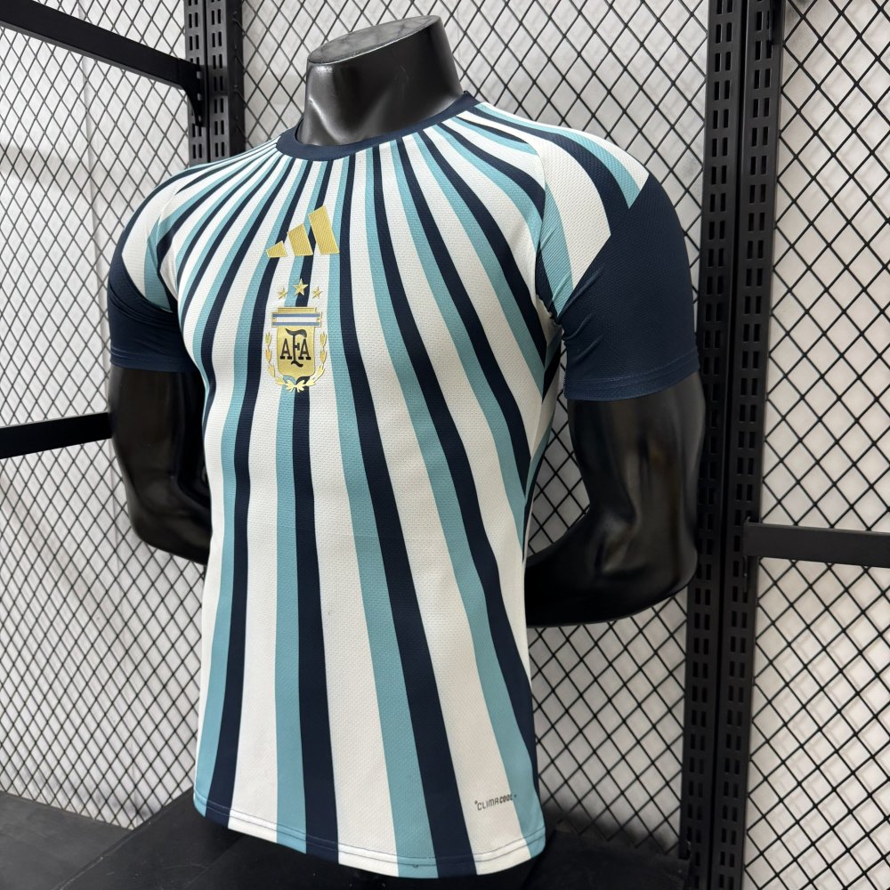 2026/2027 Argentina Special Edition Football Jersey(Players Edition)