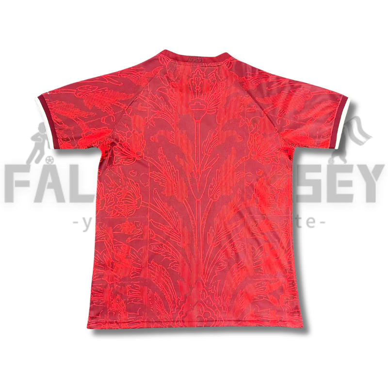 2026/2027 Turkey Special Football Shirt（ Fans Edition ）