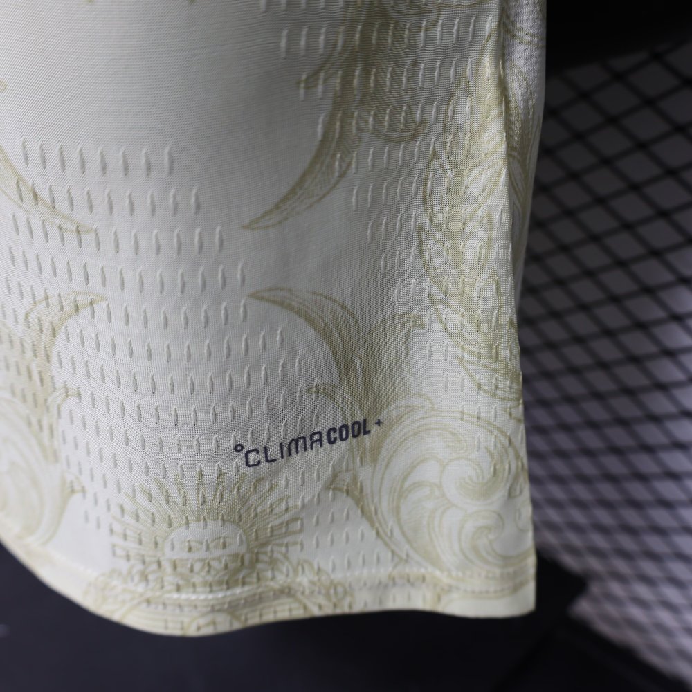 2026/2027 Argentina Special Edition Football Jersey(Players Edition)