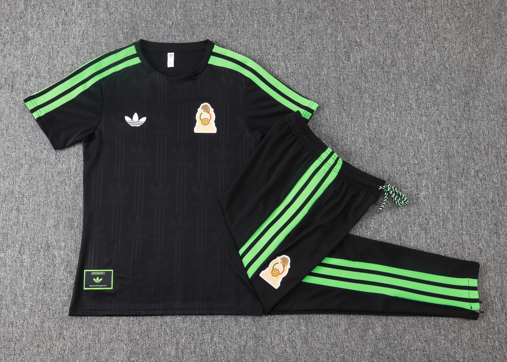 2026/2027 Mexico  Polo training suit set
