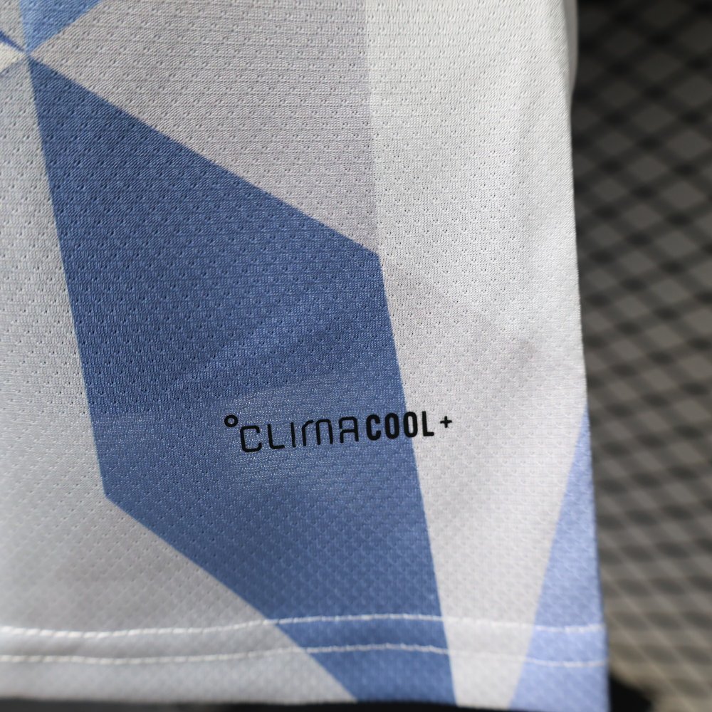 2026/2027 Argentina Special Edition Football Jersey(Players Edition)