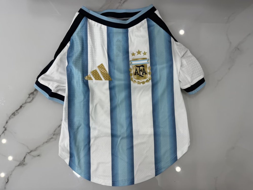 2026/2027 Argentina WOMEN Home Football Jersey (Player Edition)