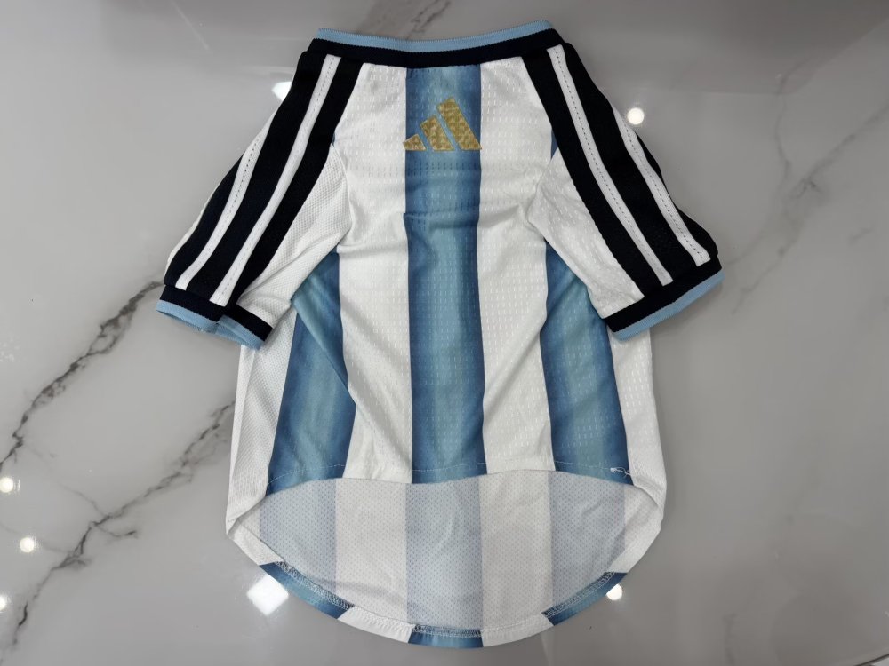 2026/2027 Argentina WOMEN Home Football Jersey (Player Edition)