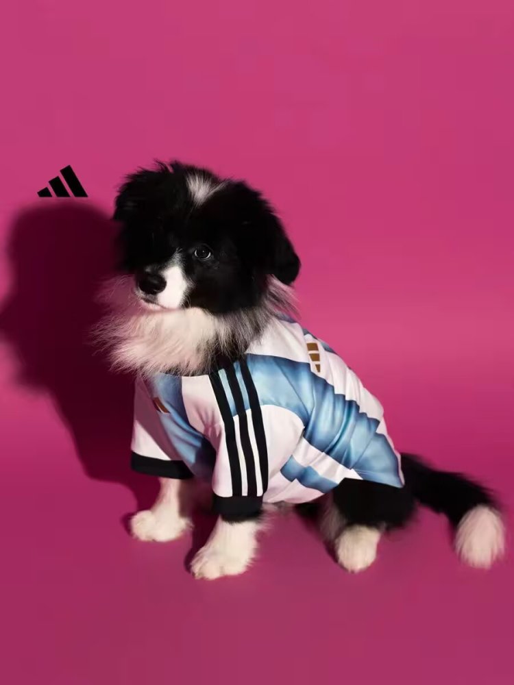2026/2027 Argentina (pet dog) Home Football Jersey Player Edition