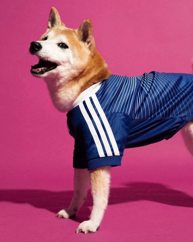 2026/2027 Japan  (pet dog) World Cup Home Football Shirt Player Version