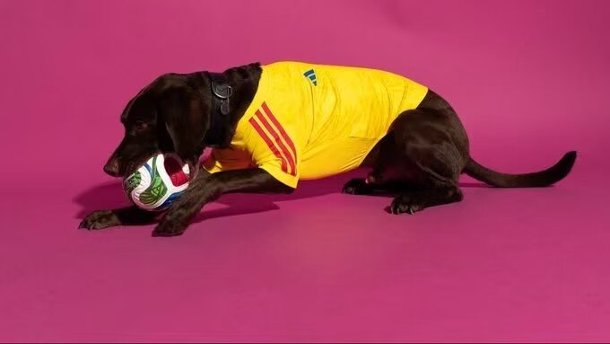 2026/2027 Colombia  (pet dog) Home Football Shirt Player Version