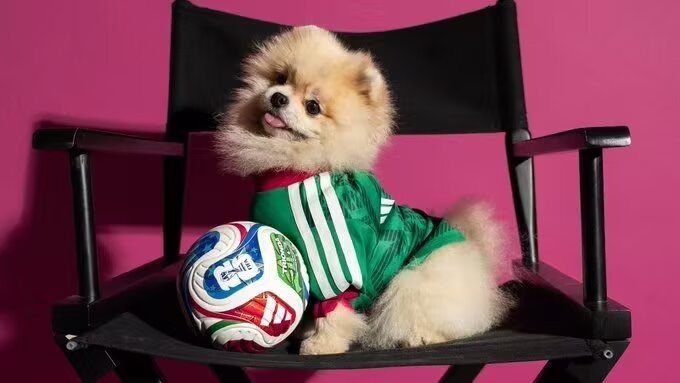 2026/2027 Mexico  (pet dog) World Cup Home Football Shirt Player Edition