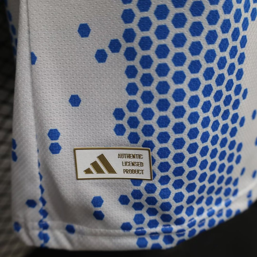 2026/2027 Argentina Special Edition Football Jersey(Players Edition)