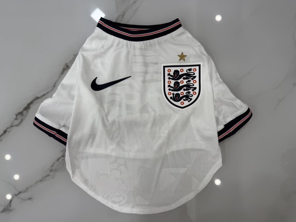 2026/2027 England  (pet dog) Away Football Shirt Player Edition