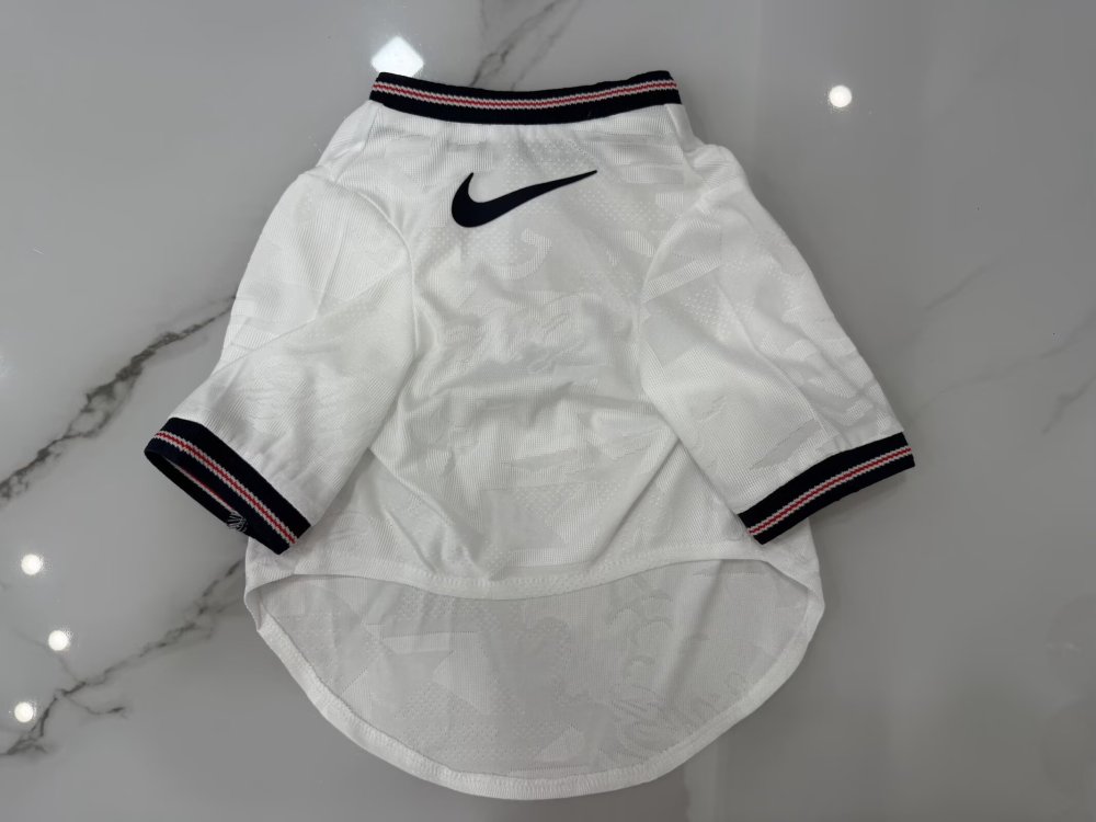 2026/2027 England  (pet dog) Away Football Shirt Player Edition