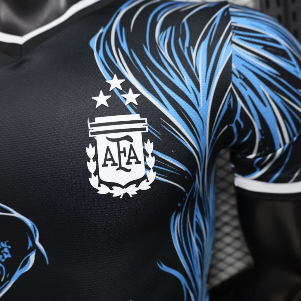 2026/2027 Argentina Special Edition Football Jersey(Players Edition)