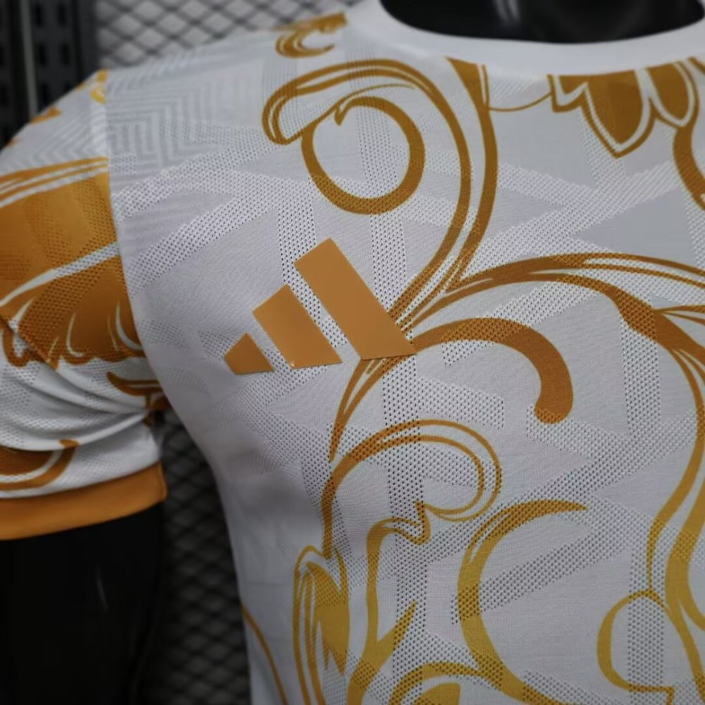 2026/2027 Argentina Special Edition Football Jersey(Players Edition)