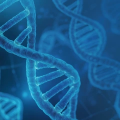 Recombinant Human Collagen Type III Structure and Vial