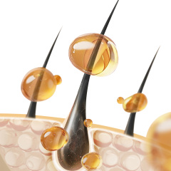 重组人源化XVII型胶原蛋白