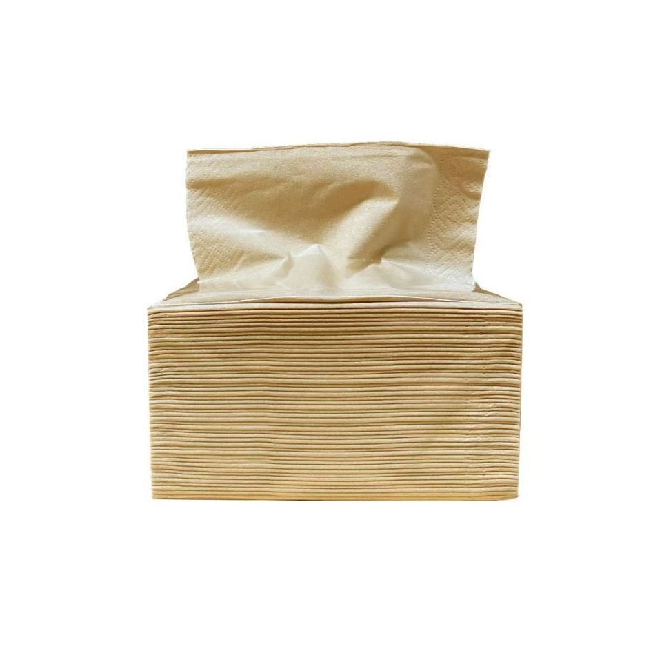 Facial Tissue-Natural-Guest