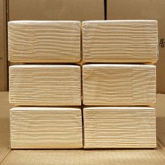Facial Tissue-Natural-Guest