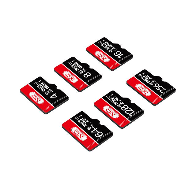 Memory Card & USB Disk