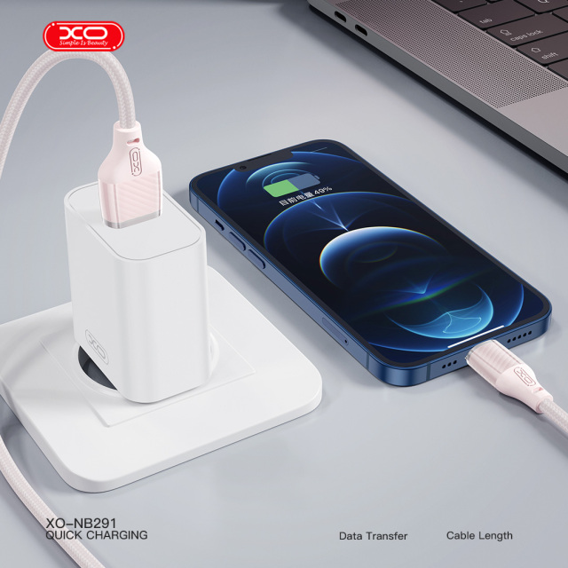 NB291 Transparent Case Braided 6A IP Cable