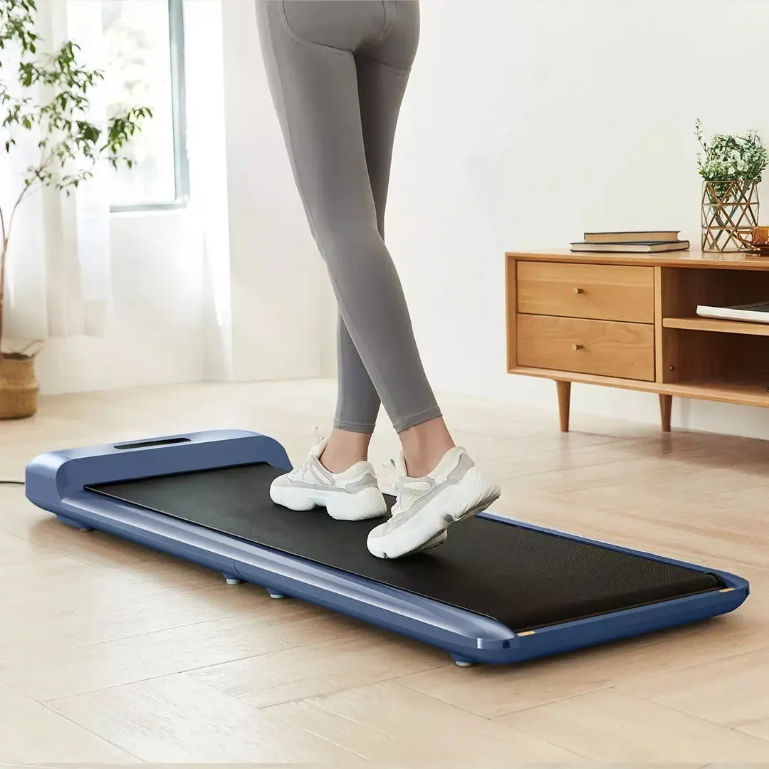 C2 Kingsmith WalkingPad Folding Walking Treadmill
