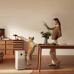 Xiaomi Mijia Air Purifier 5 Oled Display Touch Screen Air Outlet Home Formaldehyde Removal AC-M25-SC