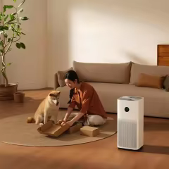 Xiaomi Mijia Air Purifier 5 Oled Display Touch Screen Air Outlet Home Formaldehyde Removal AC-M25-SC