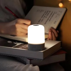 High Quality Nextool Multifunctional Camping Light 600 Lumen Build-in 5000mAh Rechargeable Battery IPX4 Waterproof Light
