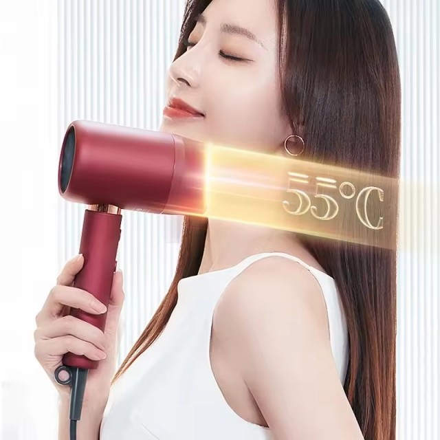 Showsee Negative Ion Thermostatic Hair Dryer