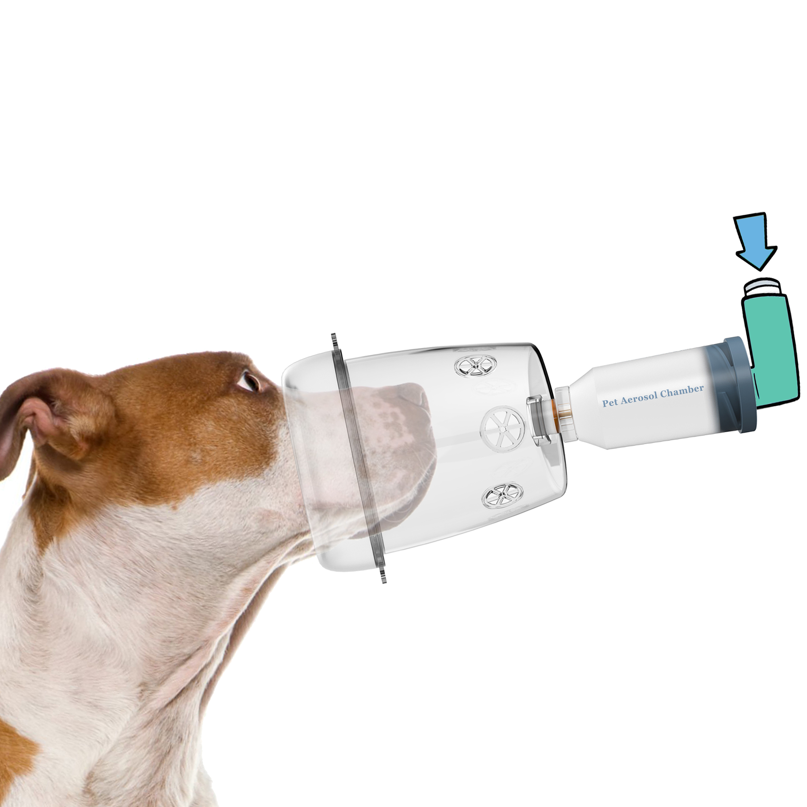 Pet Aerosol Chamber  (Ori)