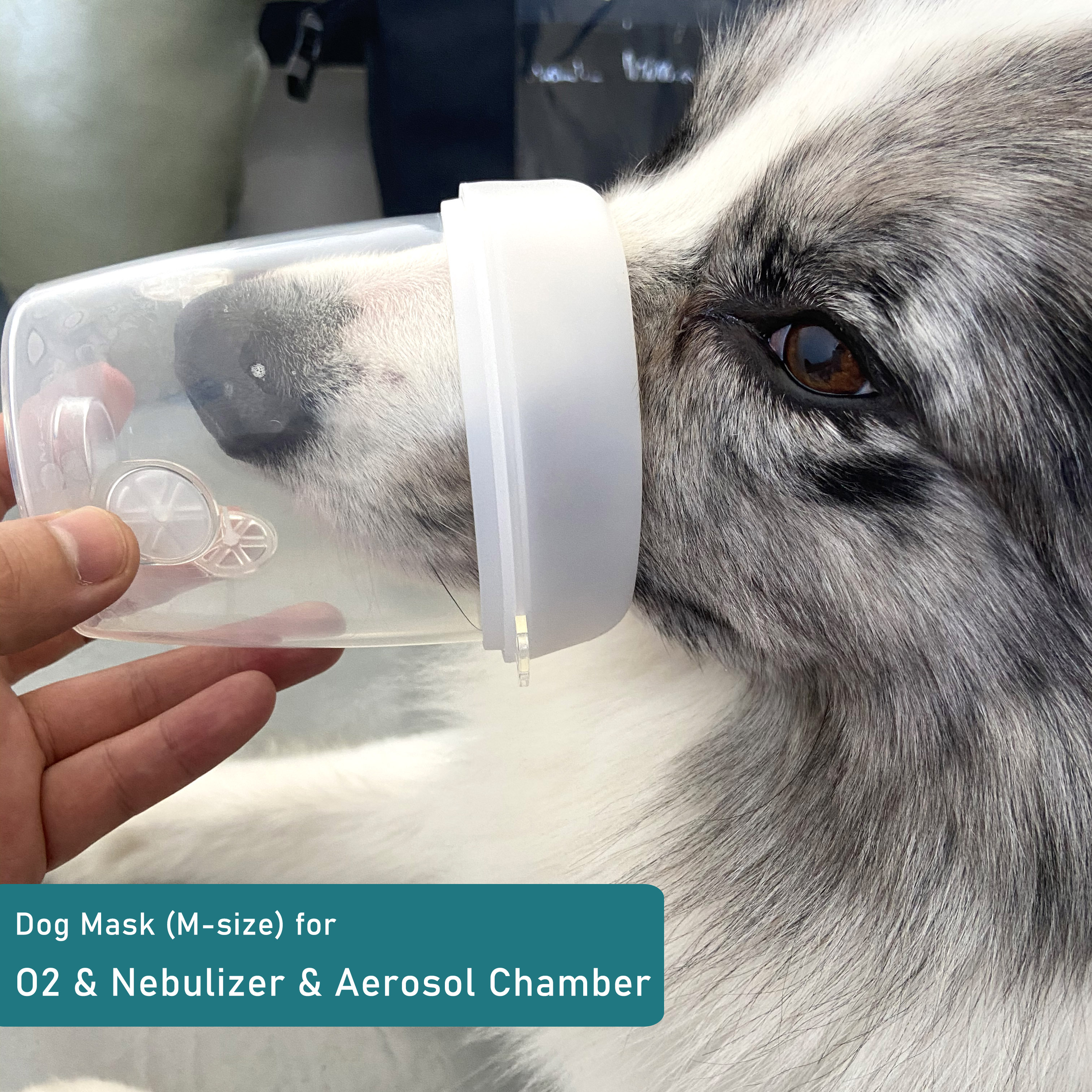 Pet Aerosol Chamber  (Ori)