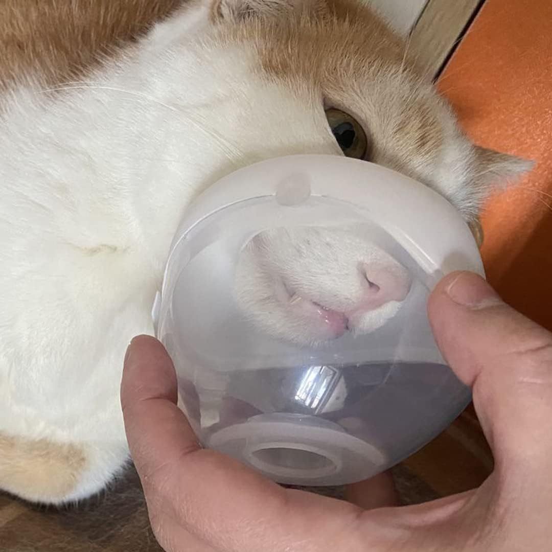 Cat Nebulizer (Green)