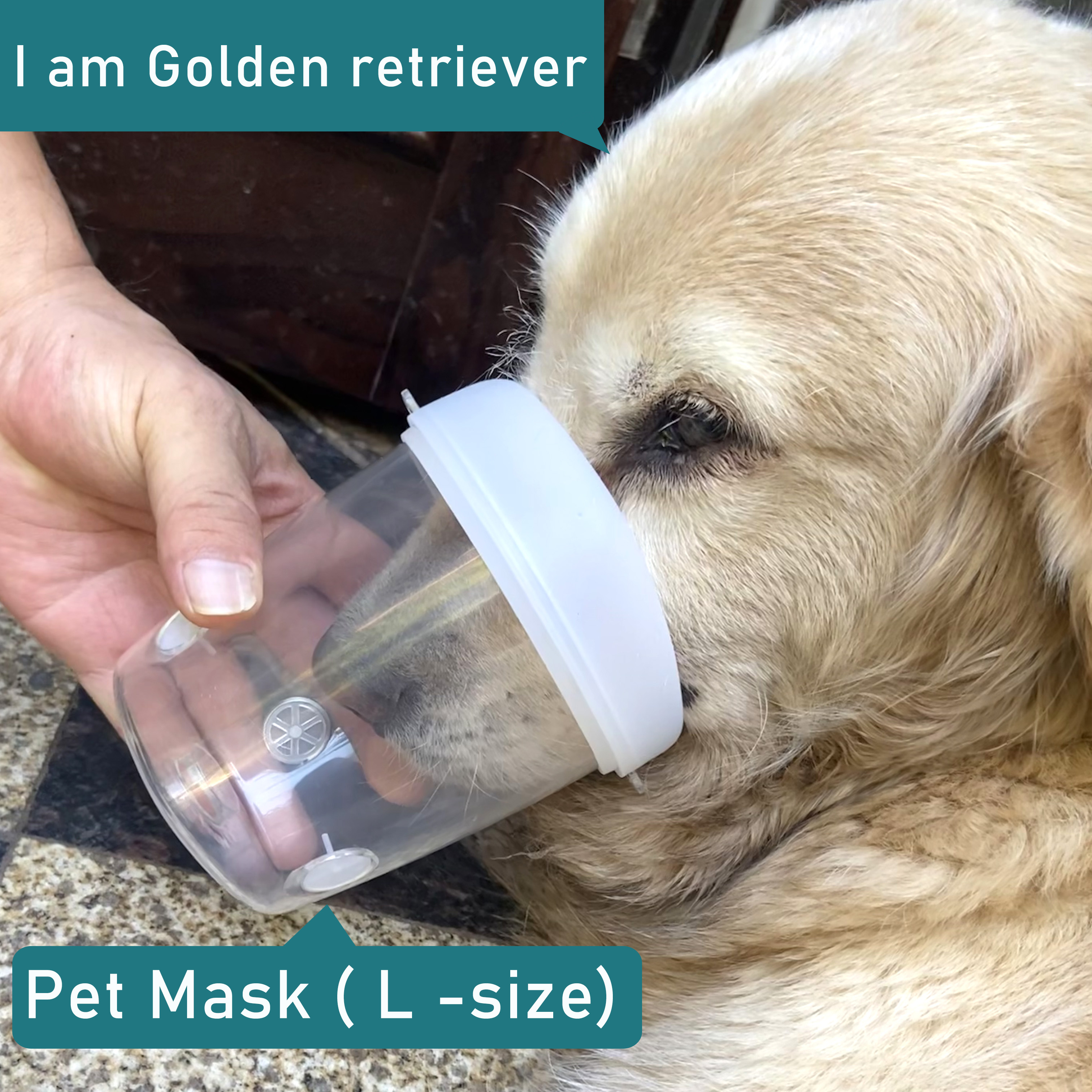 Mask of Dog Nebulizer (Large)