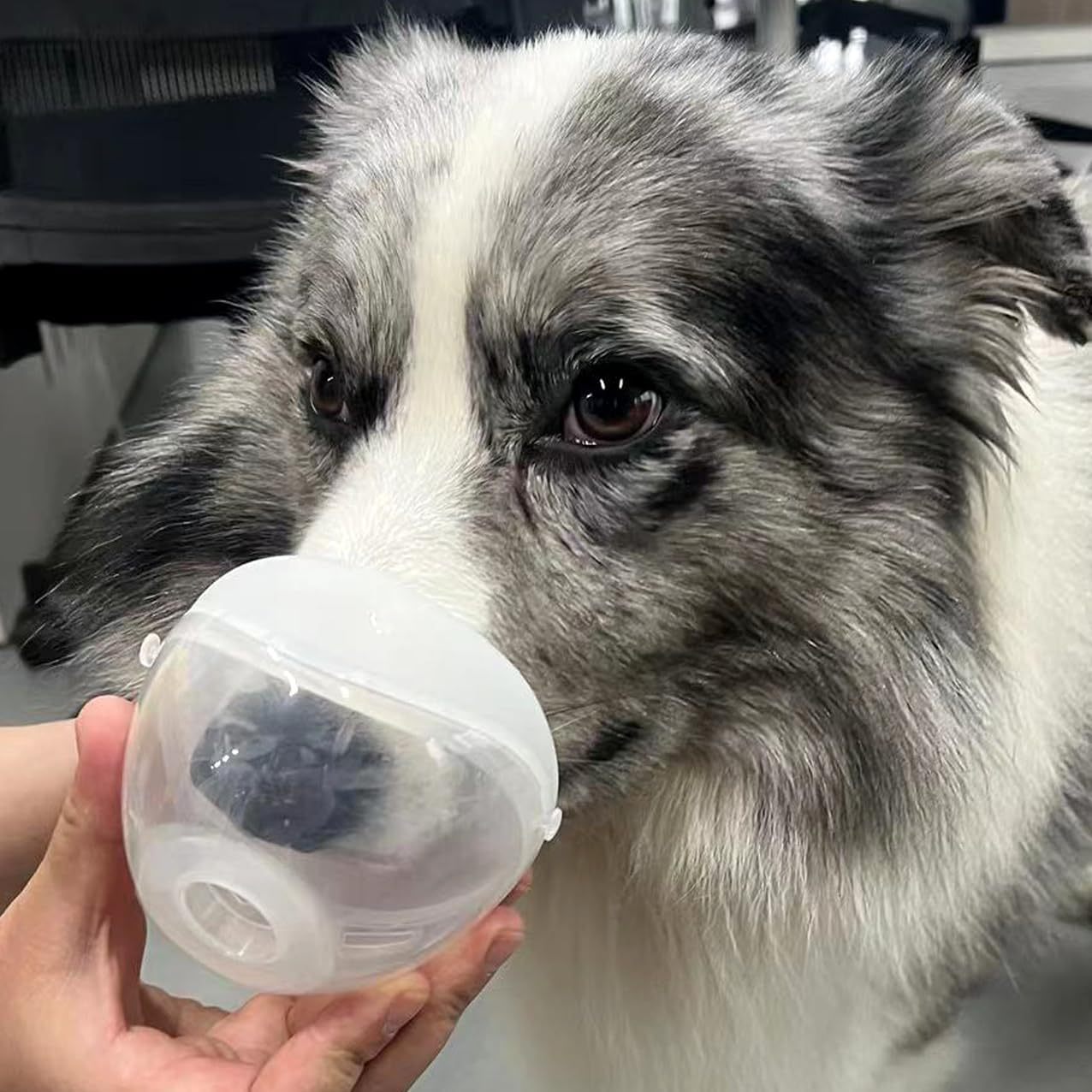 Mask of Cat/Dog Nebulizer (Small)