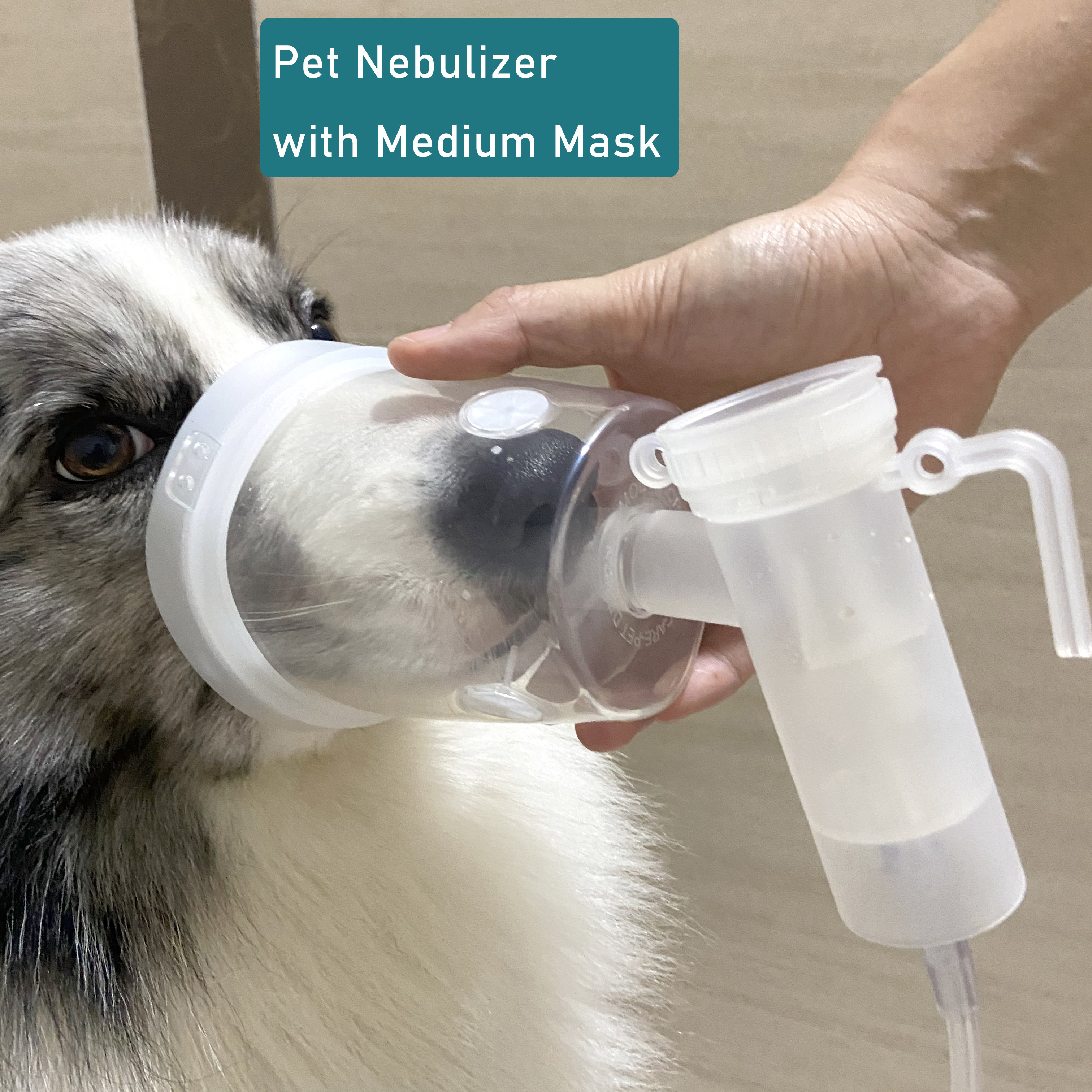 Mask of Dog Nebulizer (Medium Size)