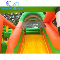 Jungle Lion Inflatable Combo | Bounce, Climb & Slide | Infinity Bouncerpark