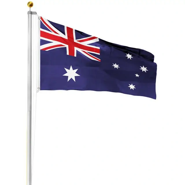 Nuoxin High Quality Custom 100% Polyester Fabric 3x5ft Flags National Flags All Countries Flag for Outdoor Activity