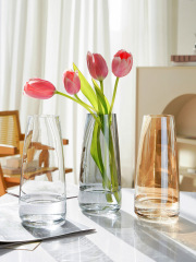 Modern minimalist gradient iridescent glass vase with high aesthetic value, living room hydroponic, bedroom decorative ornament vase