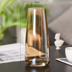 Modern minimalist gradient iridescent glass vase with high aesthetic value, living room hydroponic, bedroom decorative ornament vase