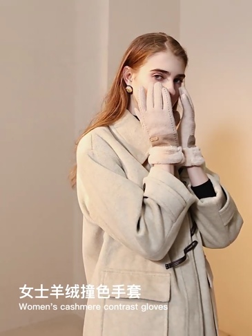 Winter new cashmere gloves ladies outdoor small fragrance breeze velvet thickened warm gloves cold-proof touch screen DY50