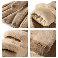 Winter new cashmere gloves ladies outdoor small fragrance breeze velvet thickened warm gloves cold-proof touch screen DY50