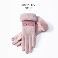 Winter new cashmere gloves ladies outdoor small fragrance breeze velvet thickened warm gloves cold-proof touch screen DY50
