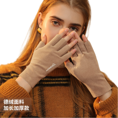 Winter new cashmere gloves ladies outdoor small fragrance breeze velvet thickened warm gloves cold-proof touch screen DY50