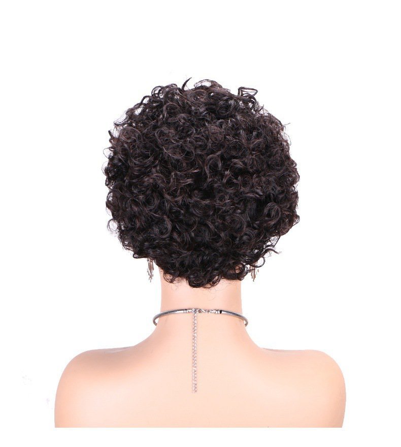 Natural Short 4*4 Transparent Lace Frontal Human Hair Wigs Curly Pixie Cut Brazilian hair wigs for Black Wome