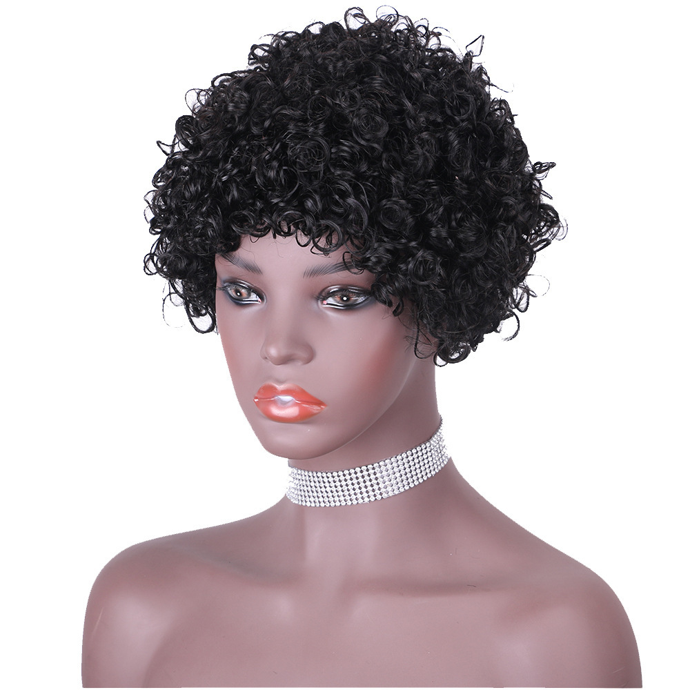 Full Machine Made Short Human Hair Wigs Pixie Cuts Straight Black Wigs Human Hair Wigs for Women
