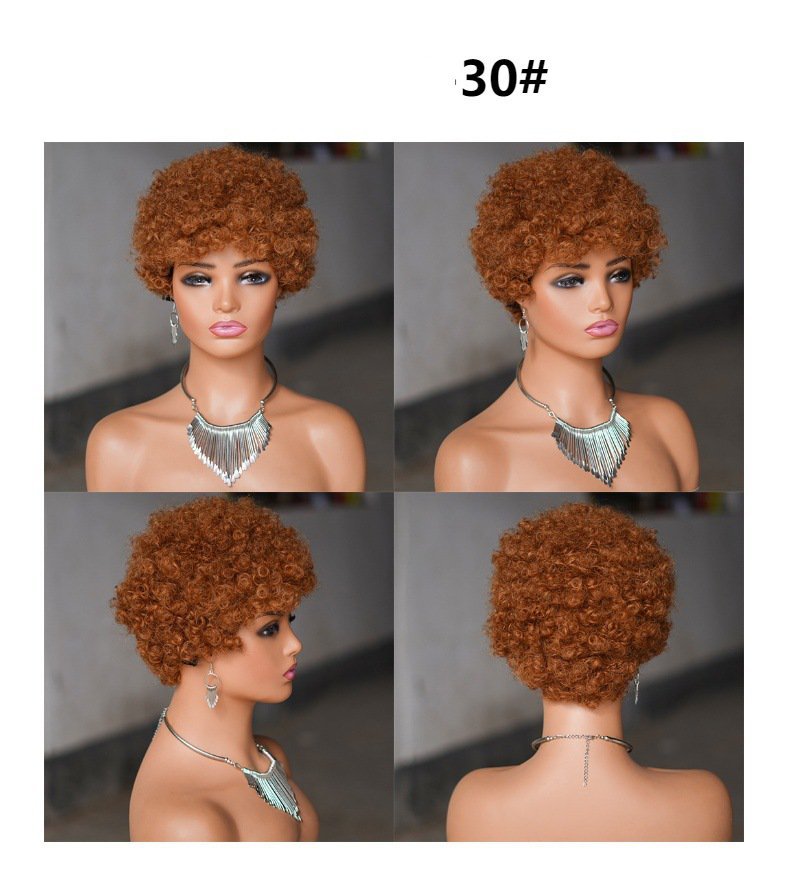 Short Afro Kinky Curly Human Hair Black Wig for Women Fluffy Pixie Curly Retro Style Cheap Human Hair Wig Full Machine Wig
