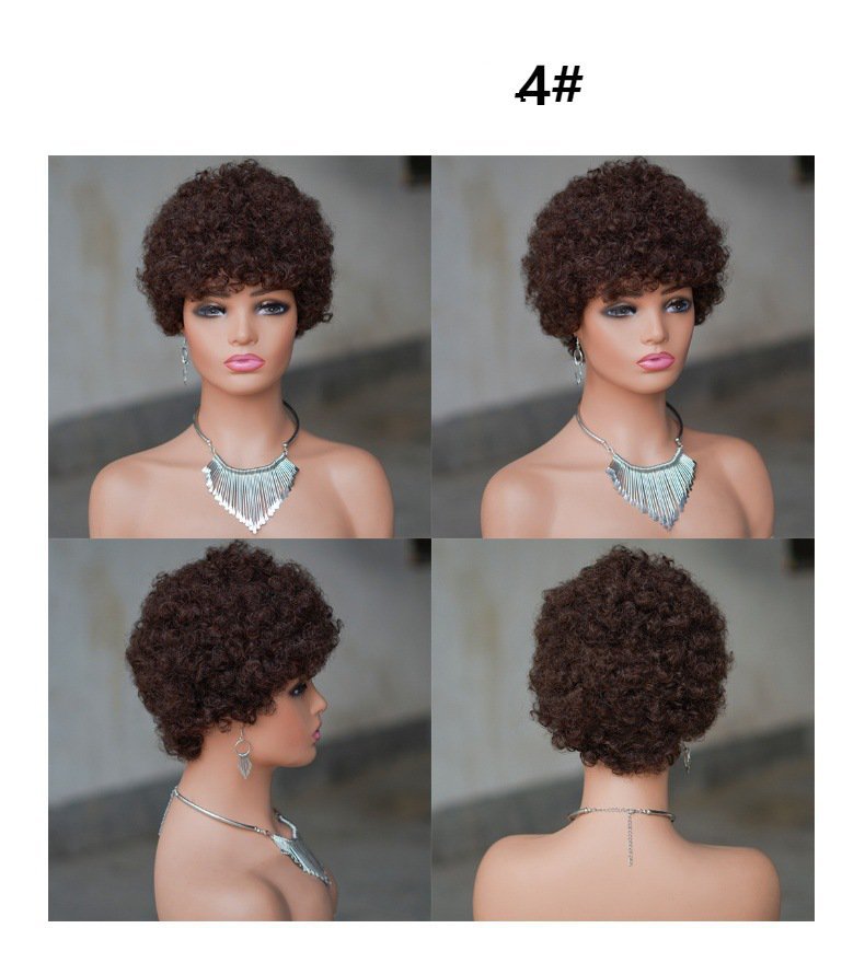 Short Afro Kinky Curly Human Hair Black Wig for Women Fluffy Pixie Curly Retro Style Cheap Human Hair Wig Full Machine Wig