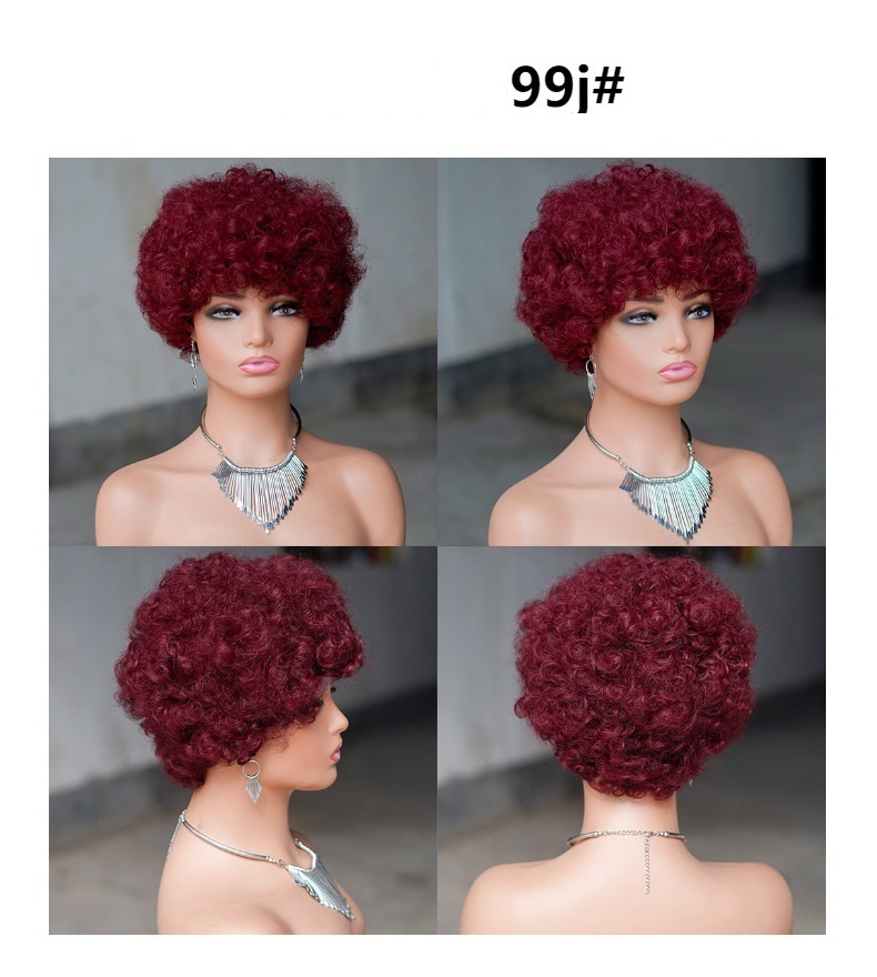 Short Afro Kinky Curly Human Hair Black Wig for Women Fluffy Pixie Curly Retro Style Cheap Human Hair Wig Full Machine Wig