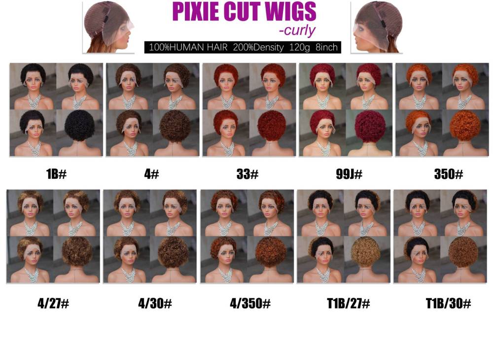 Short Afro Kinky Curly Human Hair Black Wig for Women Fluffy Pixie Curly Retro Style Cheap Human Hair Wig Full Machine Wig