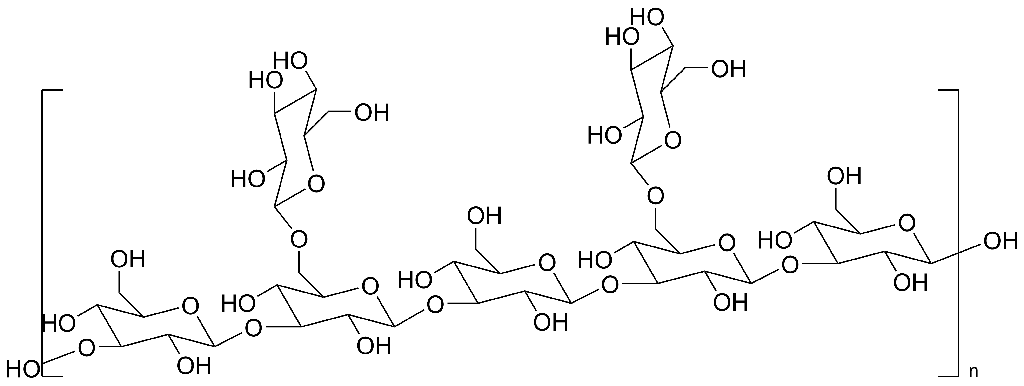 Lentinan Immune Support - Chitosan Manufacturer