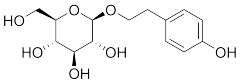 Salidroside Extract - Hyaluronic Acid Manufacturer