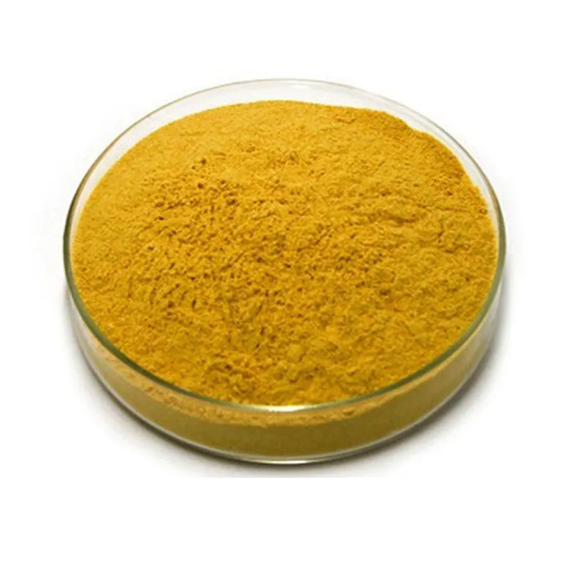 Curcumin Extract